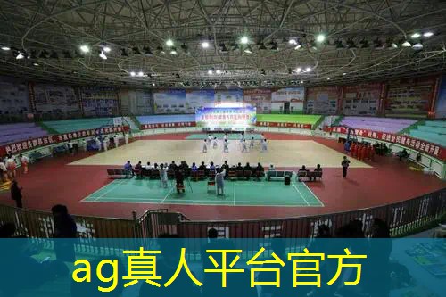 电脑上好玩儿的3d单机游戏