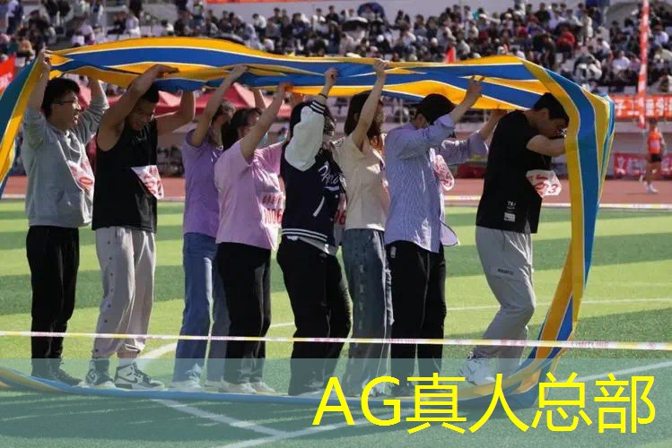 ag真人官方网：去建造房子类3d游戏