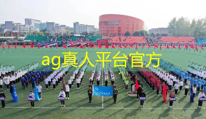3d无尽吃鸡精英游戏