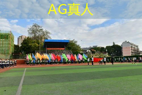 ag真人平台官方：3d街机格斗游戏动画大全