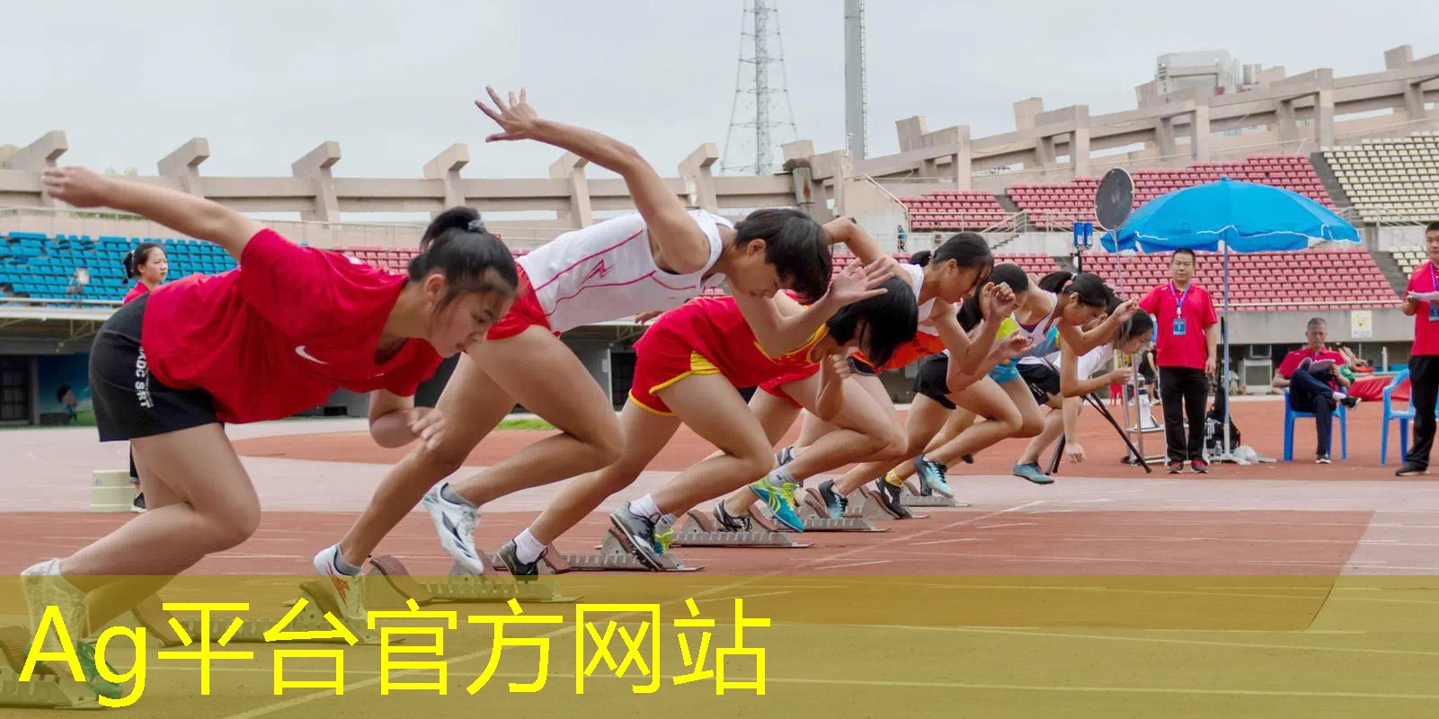 ag真人平台官方：超好玩的3d猫游戏