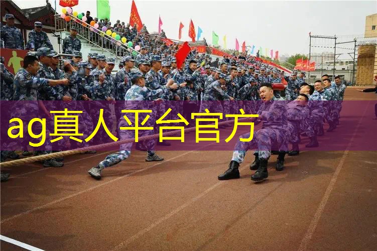 AG真人国际官网：粉紫色游戏原画