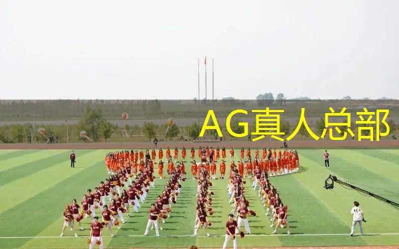 什么是3d编程游戏