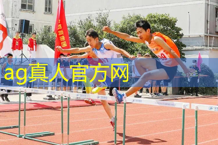 3d全景游戏单机游戏推荐