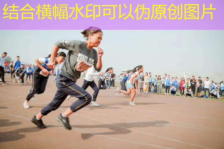 小程序梦趣游戏官网怎么进