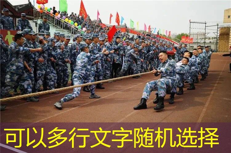 历代三光盘3d游戏