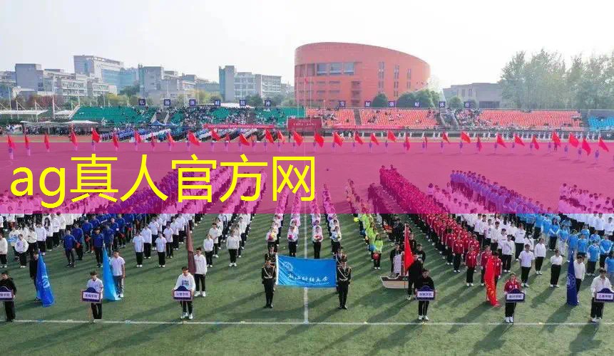 美人鱼3D单机电脑游戏