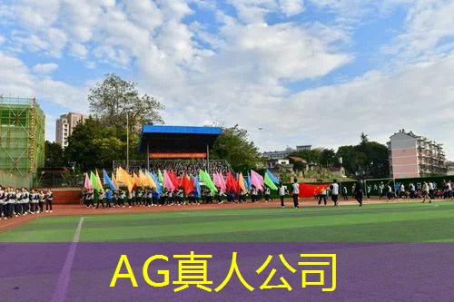 3d的手游战争游戏推荐