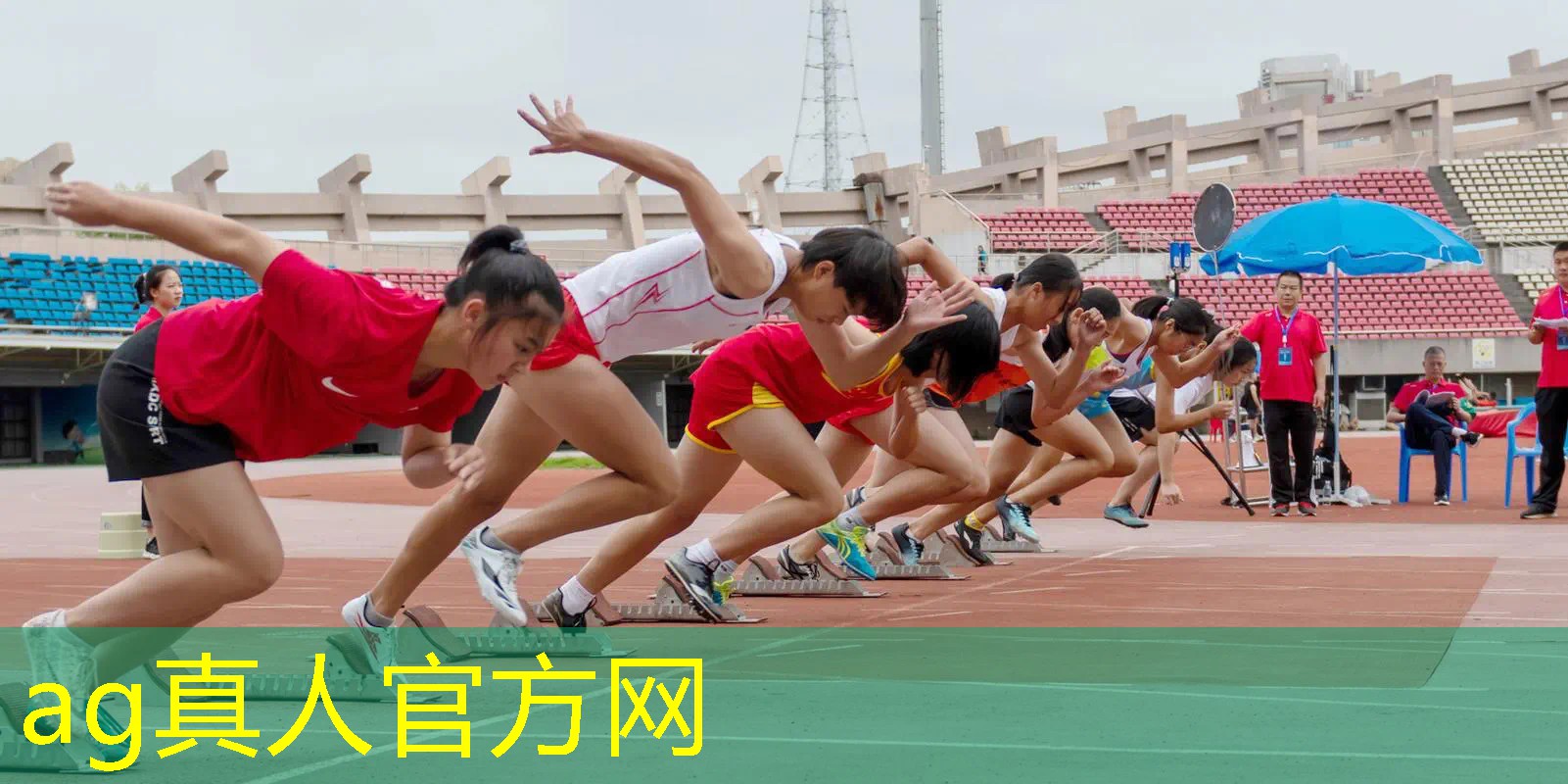 宝宝巴士3d闯关游戏
