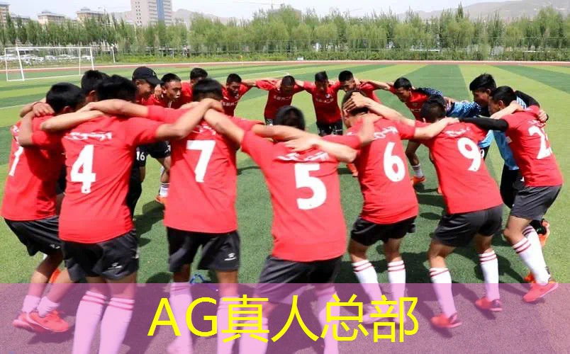 有什么酷炫的程序游戏推荐