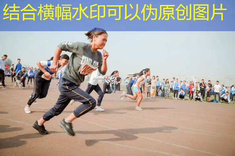 战争进化史3d游戏破解版最新