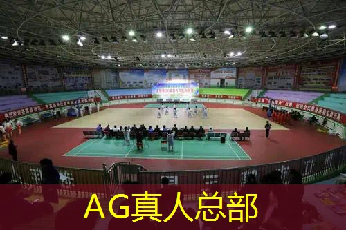 火柴人全部游戏程序破解版