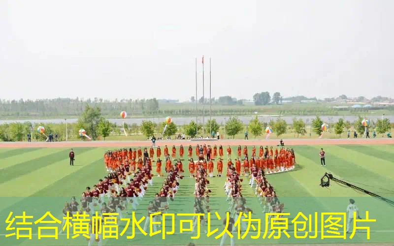 大型3d电脑单机游戏有哪些
