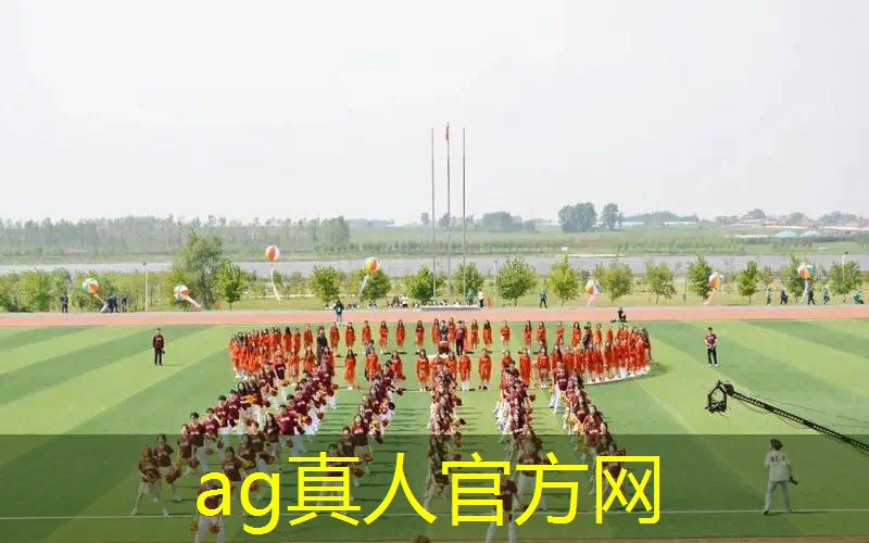 3d版龙珠游戏是哪一个