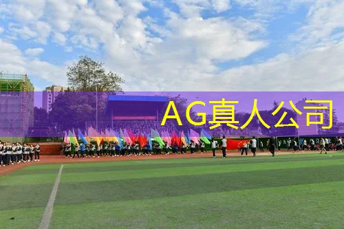 4399丧尸3d视角游戏