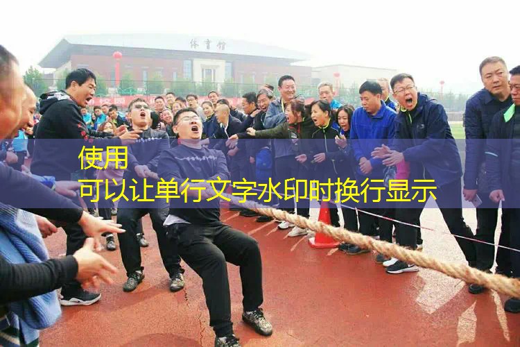 游戏语言程序有哪些