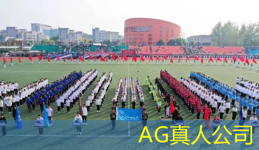 3a游戏开发需要哪些程序
