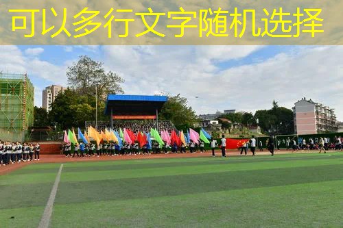 游戏原画与绑定的区别是什么