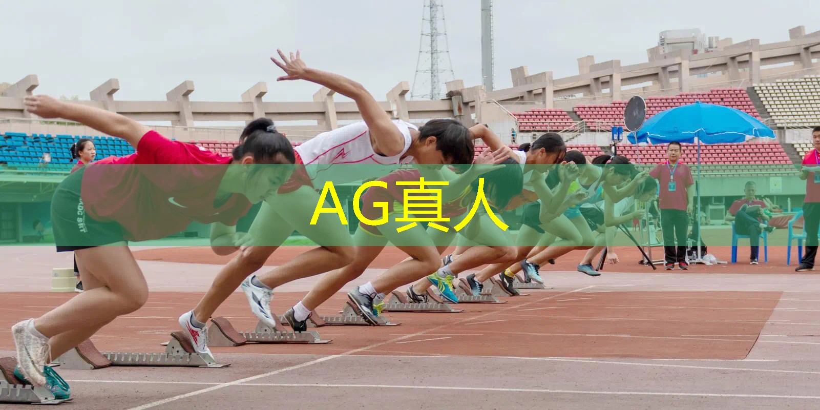 解密3d游戏主角是鸟