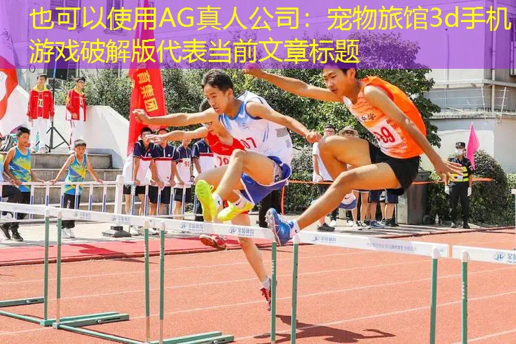 宠物旅馆3d手机游戏破解版