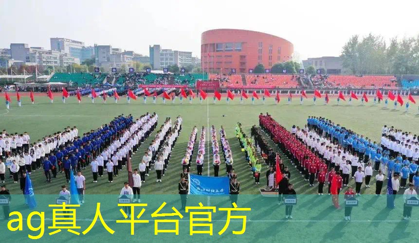 苹果19的3d游戏