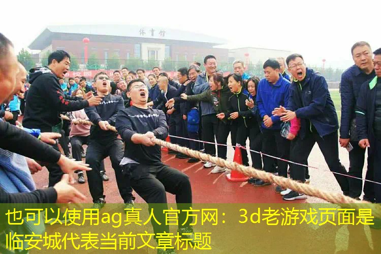 3d老游戏页面是临安城