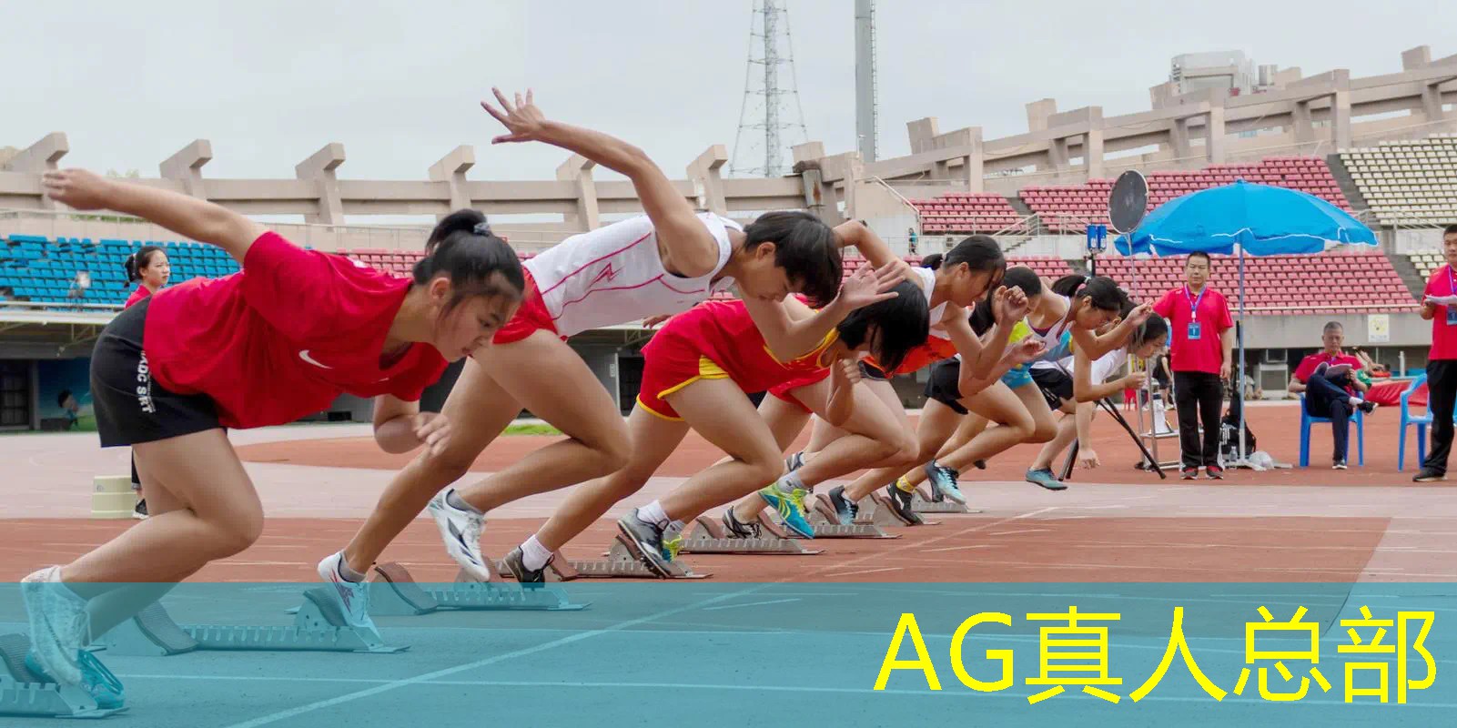 3d的怪物猎人游戏叫什么