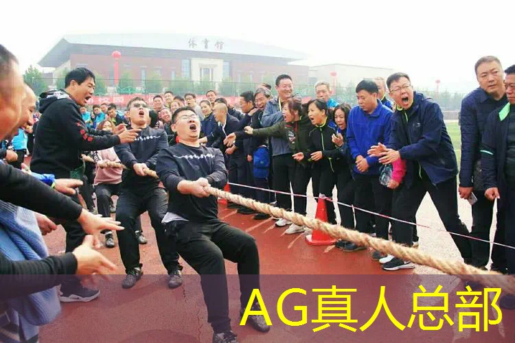 美院有游戏原画系吗