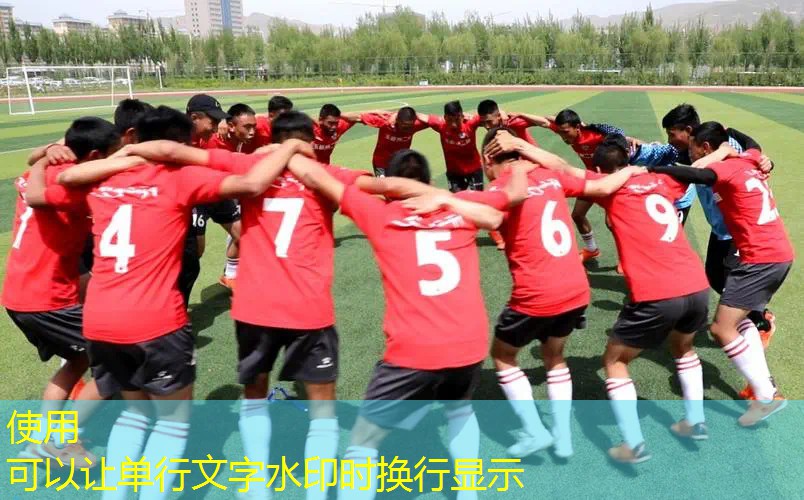 拳王3d打架游戏大全