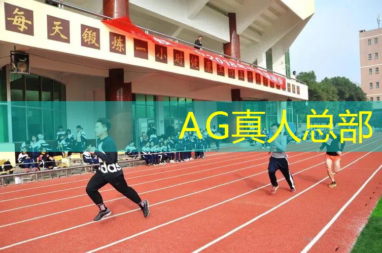 台球3d游戏 手游破解版