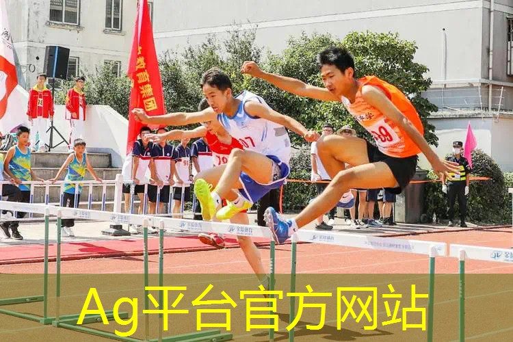 宝可梦黑白3d游戏