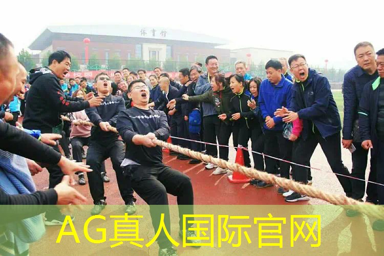 懒羊羊游戏程序怎么玩的