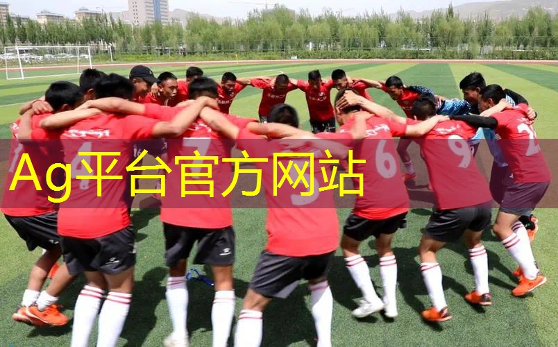 游戏原画师知识点大全及答案