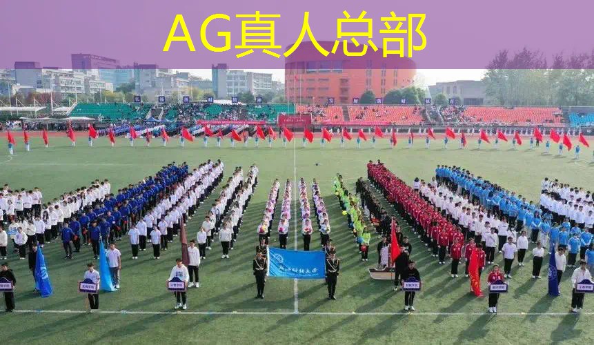 解密3d游戏主角是鸟