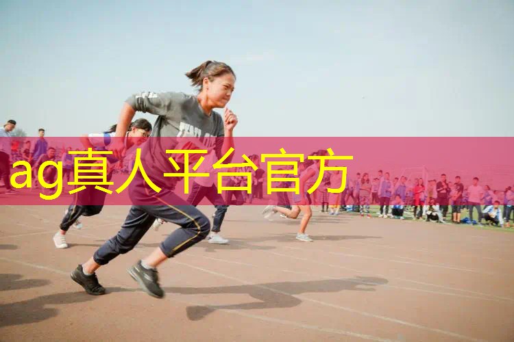 3d公路传说游戏官网