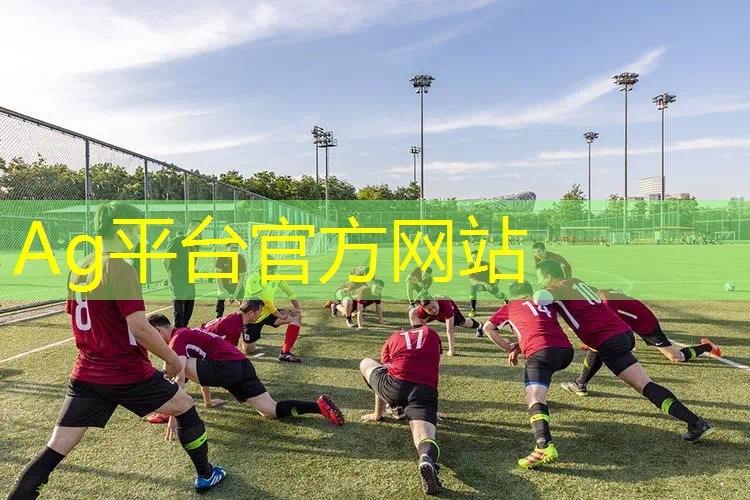 3d塔防游戏火柴人