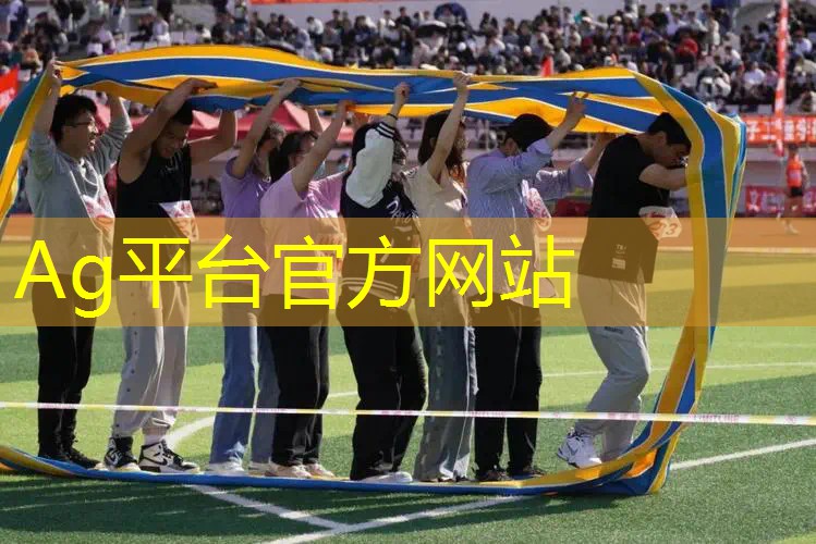 动漫游戏策划简历
