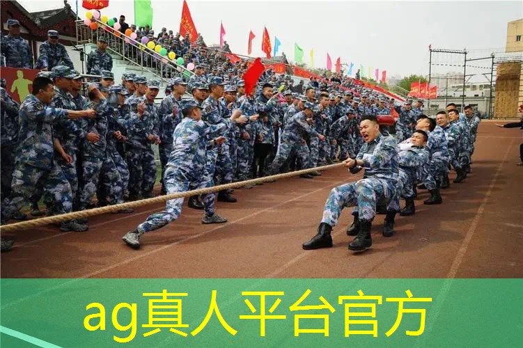 3d版的蜘蛛侠模拟游戏