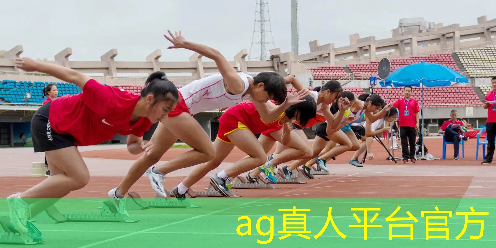 正骨3d动画游戏