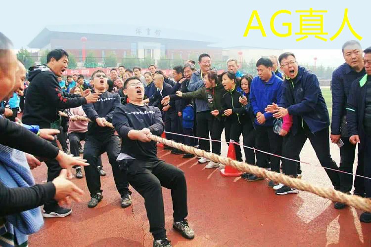 3d打印过家家游戏