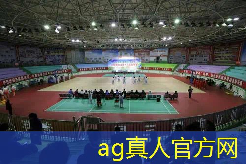 3D游戏破解版无限内购