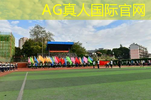 3d模拟鸽子游戏大全最新