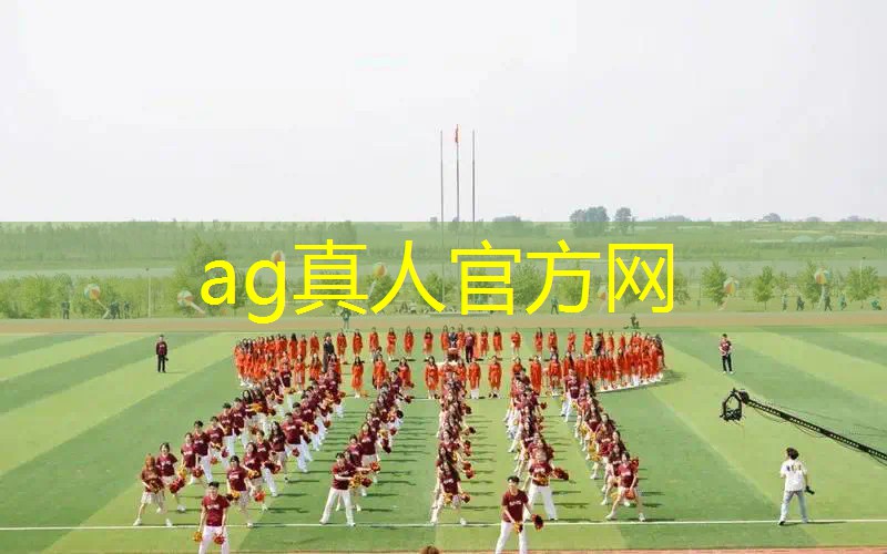 双人同屏游戏马里奥3d