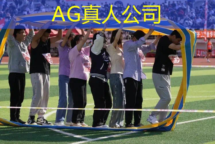 去建造房子类3d游戏