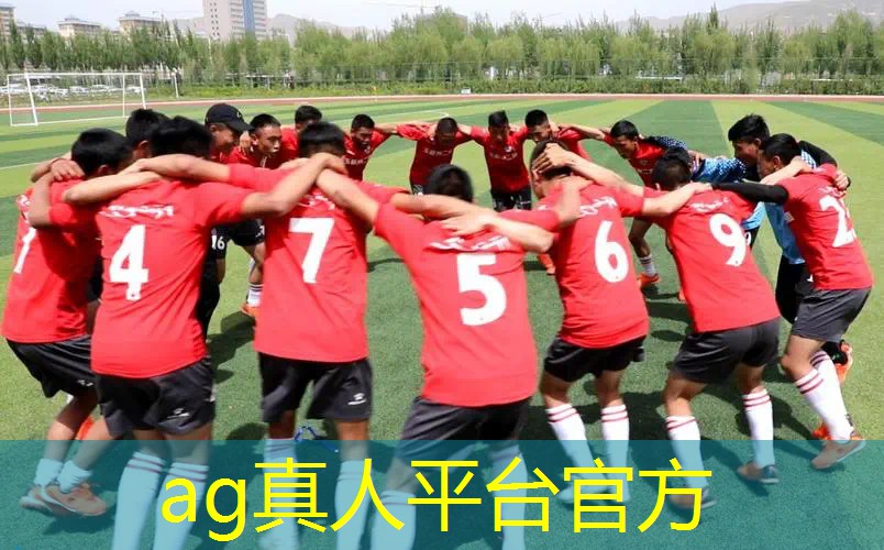 天狐仙子3d游戏攻略大全