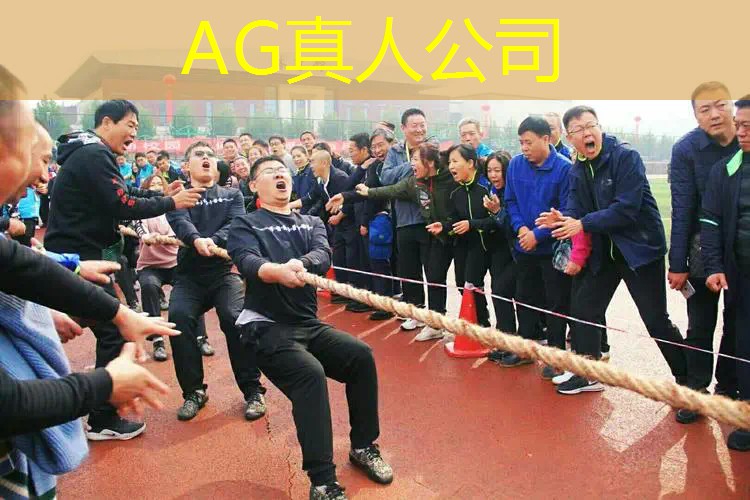 故宫建造过程3d模拟游戏