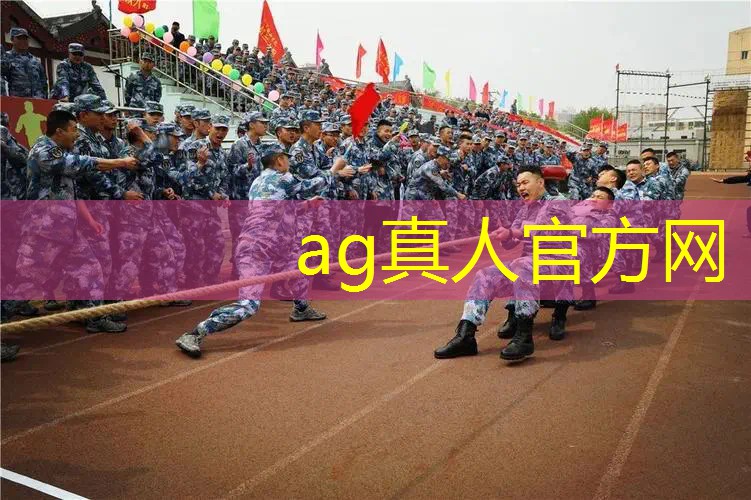 游戏原画数量怎么算