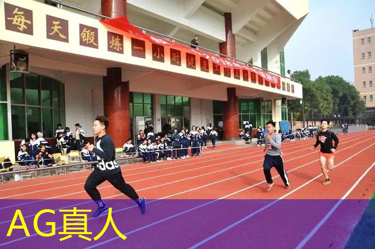 3d驾驶模拟如何更新游戏