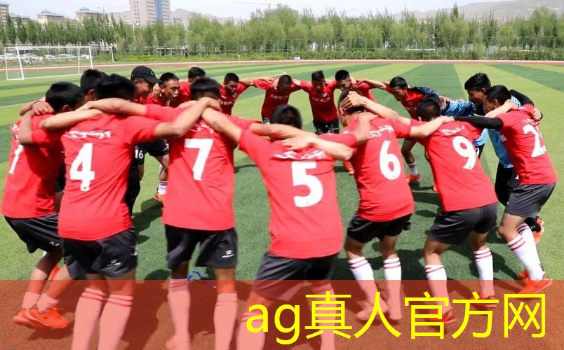 游戏里的原画集怎么使用