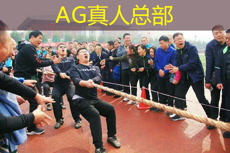 蛋仔派对3d游戏版乐园名字